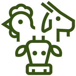 An icon representing animal science