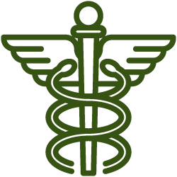 An icon representing health care